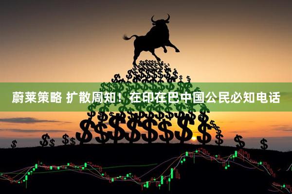 蔚莱策略 扩散周知！在印在巴中国公民必知电话