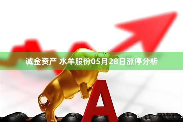 诚金资产 水羊股份05月28日涨停分析