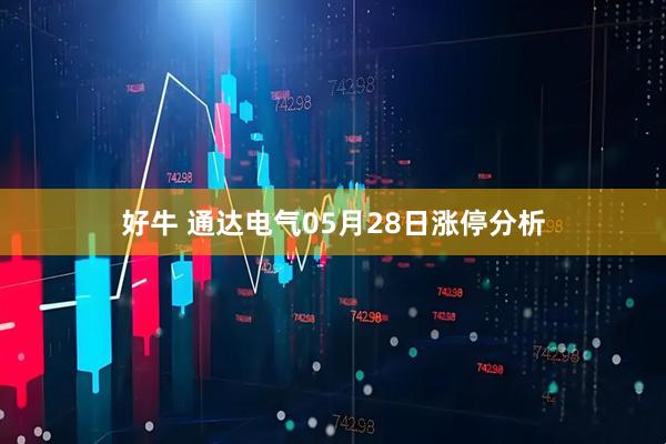 好牛 通达电气05月28日涨停分析