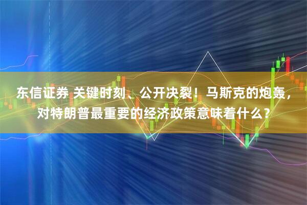 东信证券 关键时刻、公开决裂！马斯克的炮轰，对特朗普最重要的经济政策意味着什么？