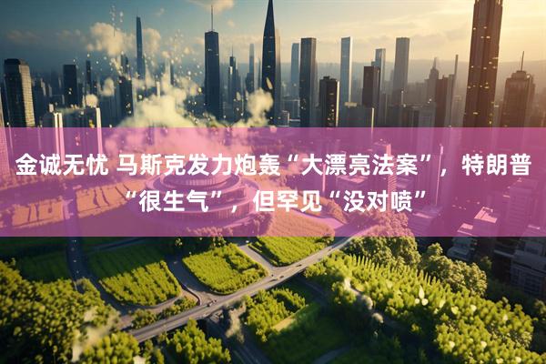 金诚无忧 马斯克发力炮轰“大漂亮法案”，特朗普“很生气”，但罕见“没对喷”
