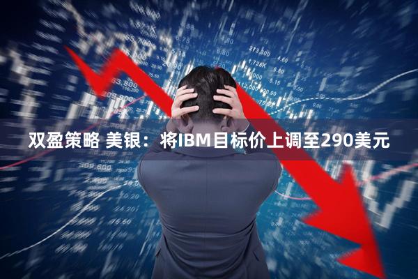 双盈策略 美银：将IBM目标价上调至290美元