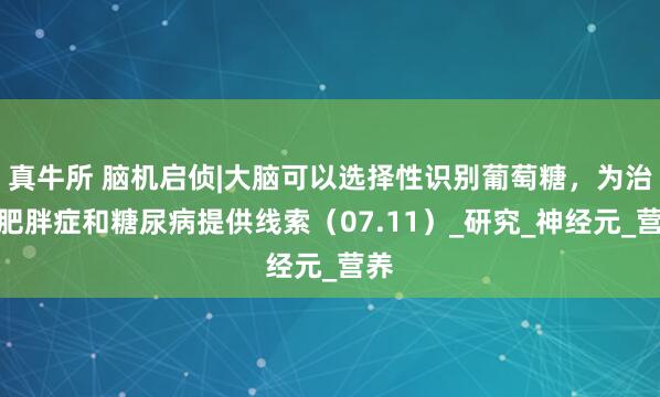 真牛所 脑机启侦|大脑可以选择性识别葡萄糖，为治疗肥胖症和糖尿病提供线索（07.11）_研究_神经元_营养