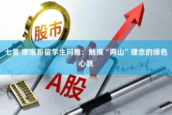 七星 摩洛哥留学生阿雅：触摸“两山”理念的绿色心跳
